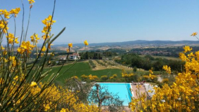 Holidays in apartment with swimming pool in Tuscany Siena Asciano